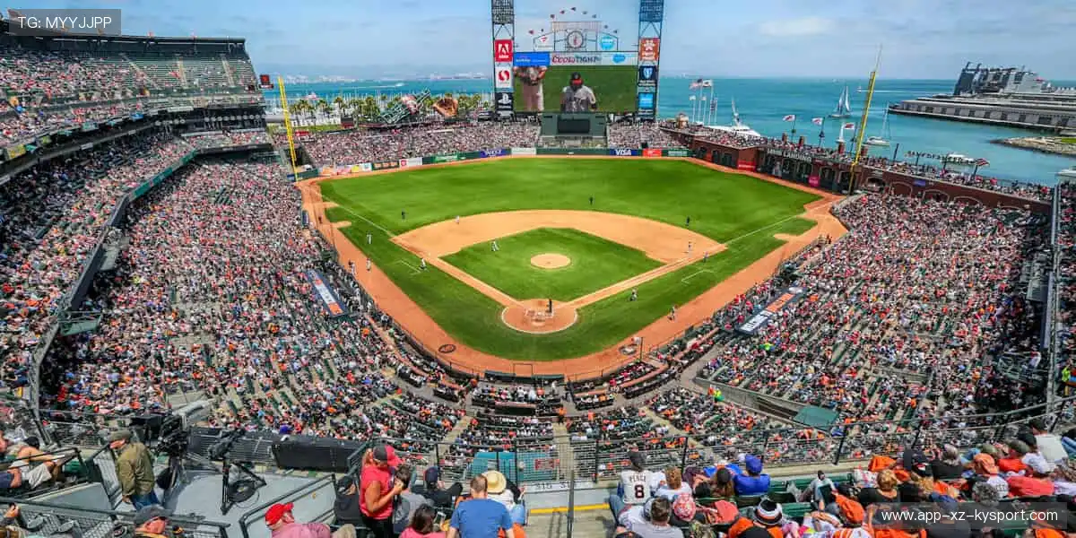 🚀⚾️ 赛事巅峰，热血沸腾！