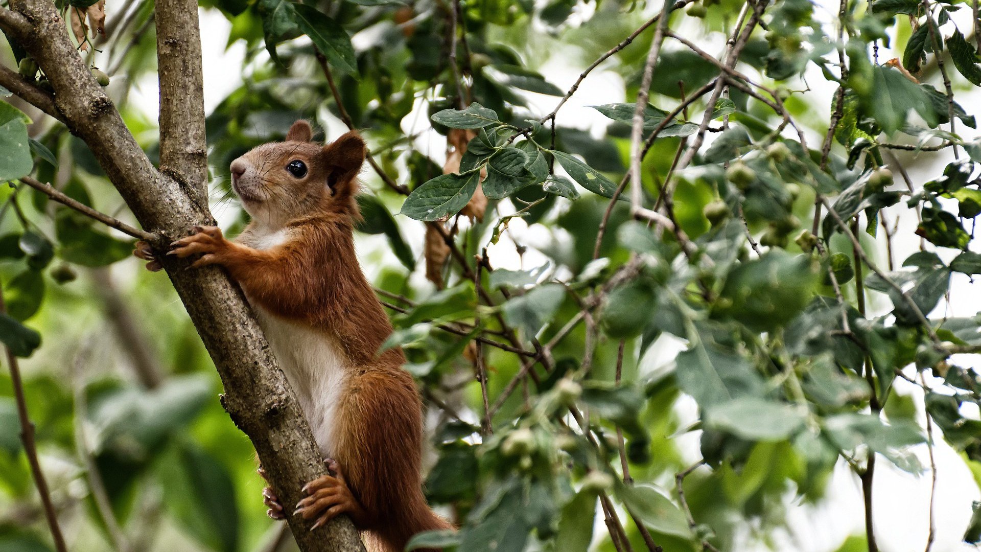 体育新闻中心通报运动员退役安置政策修订情况,运动员退役安置问题
