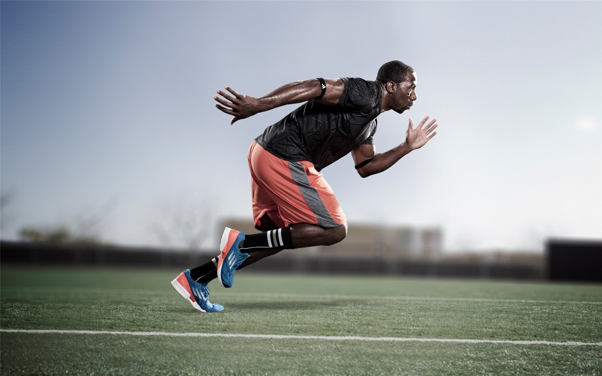 城市设立专项绿色交通基金支持赛事低碳发展，绿色城市建设实施方案